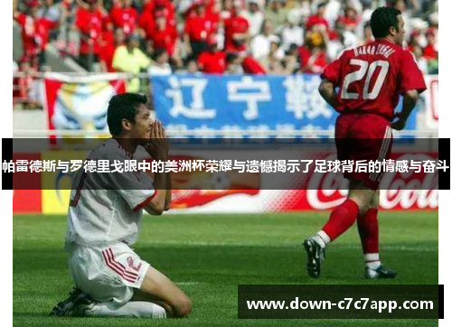 帕雷德斯与罗德里戈眼中的美洲杯荣耀与遗憾揭示了足球背后的情感与奋斗