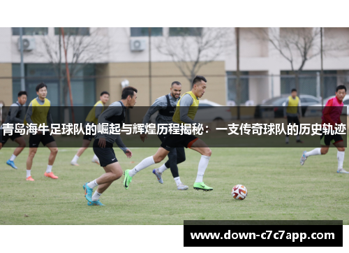 青岛海牛足球队的崛起与辉煌历程揭秘：一支传奇球队的历史轨迹